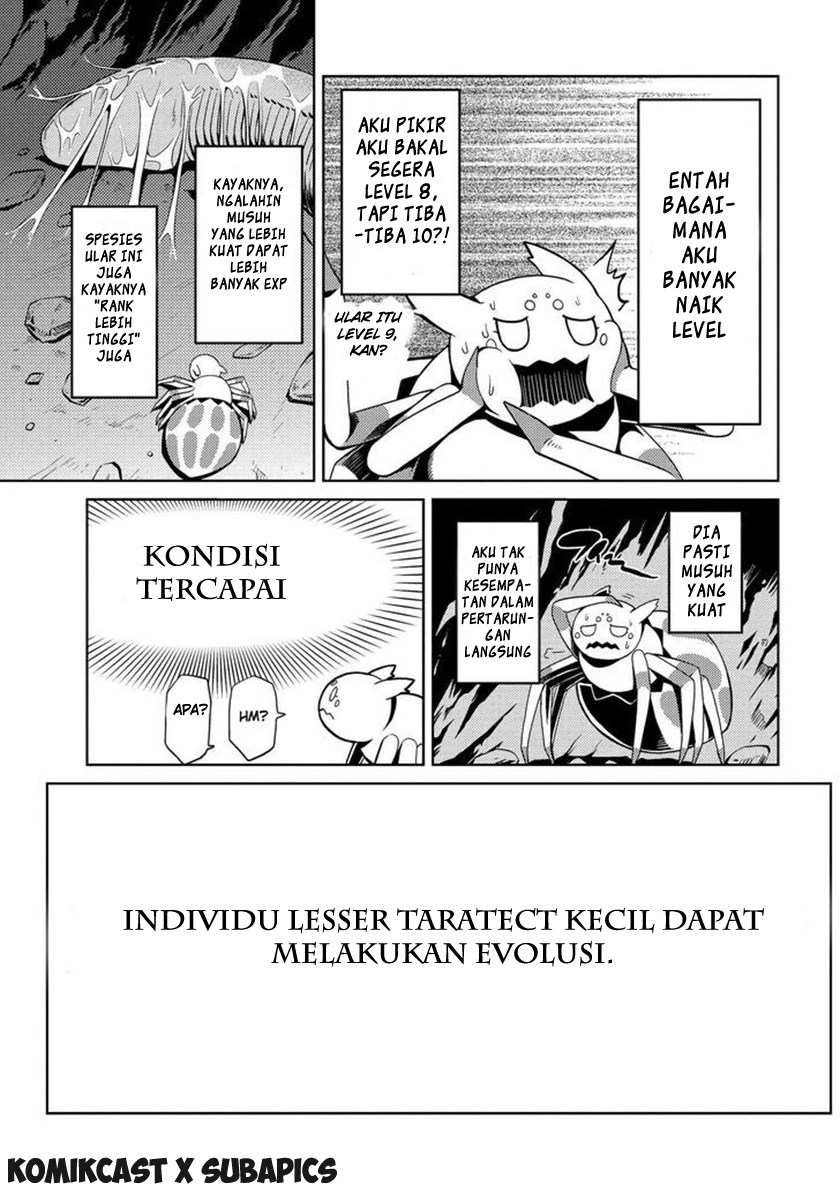 Kumo desu ga, Nani Ka?